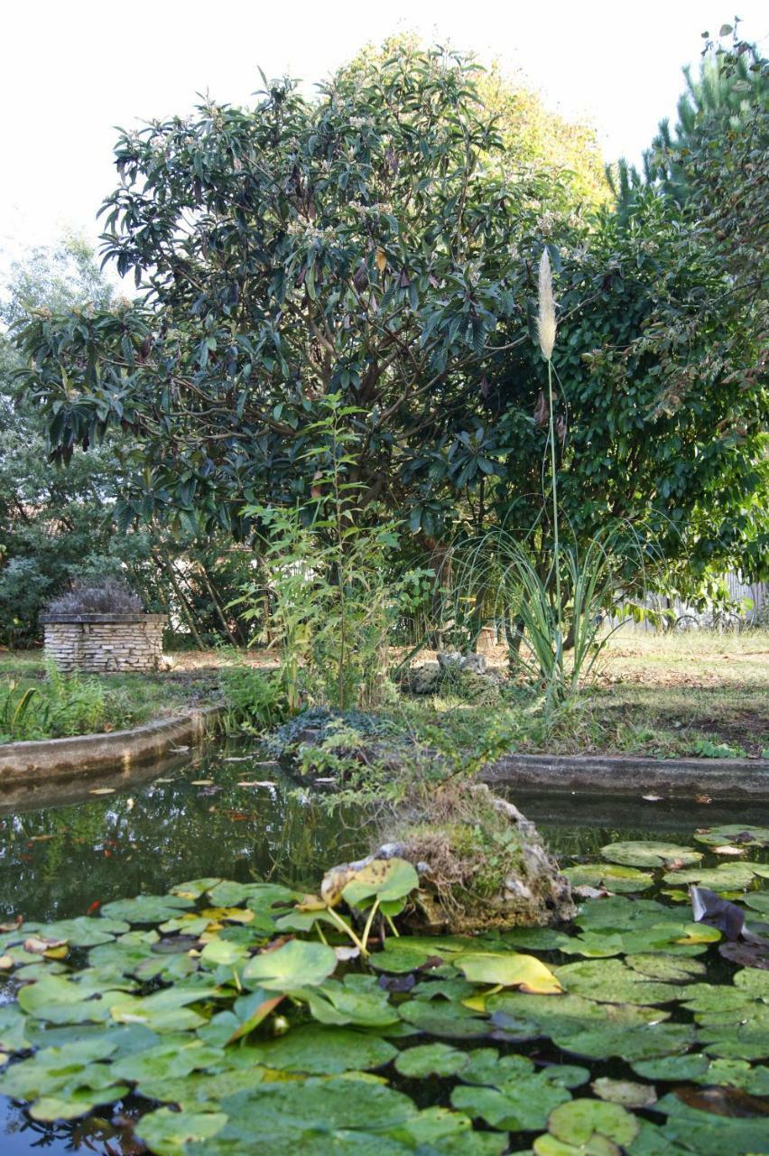 Bed and Breakfast Le Grenier De Louisette Libourne Exterior foto