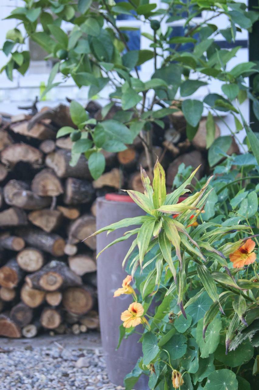 Bed and Breakfast Le Grenier De Louisette Libourne Exterior foto